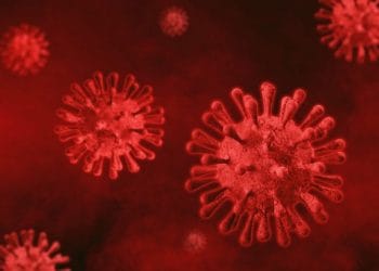 IMF: Make Covid-19 Funds Transparent, Accountable